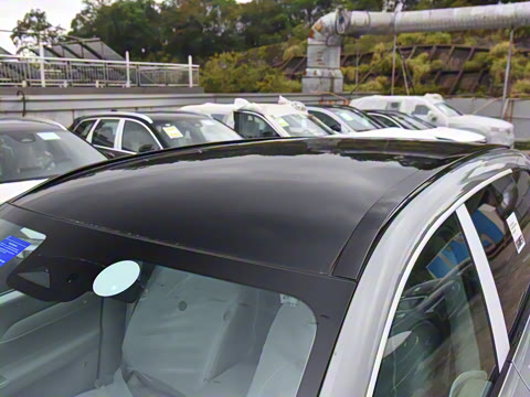 2026�� ������������Plus