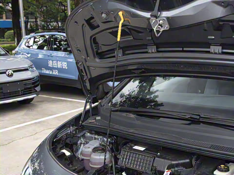 2026�� ������ ���ǰ�