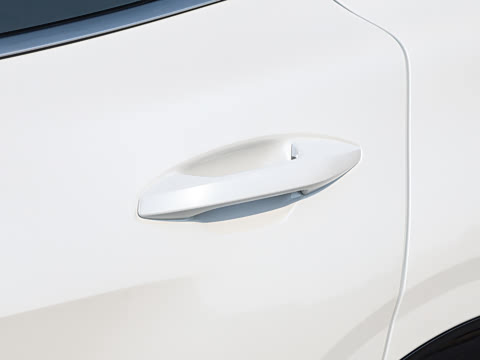 2026�� ���������