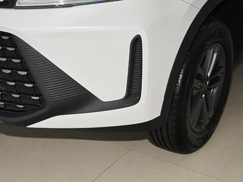 2025�� 1.5L �ֶ���Խ��