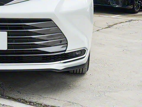 2026�� 2.5L ˫������������