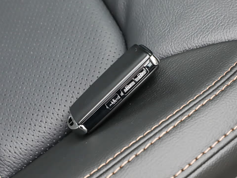 2025�� 2.0L �Զ���������Pro