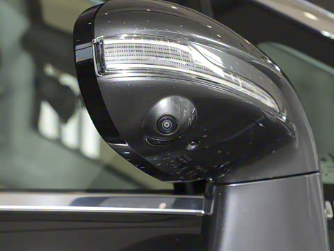 2025�� EV �������������