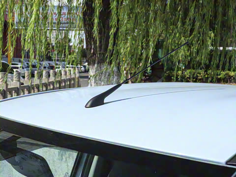 2026�� PLUS ������