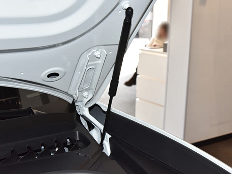 2026�� Macan ��������