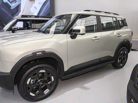 2025�� 2.0TD XWD��Խ