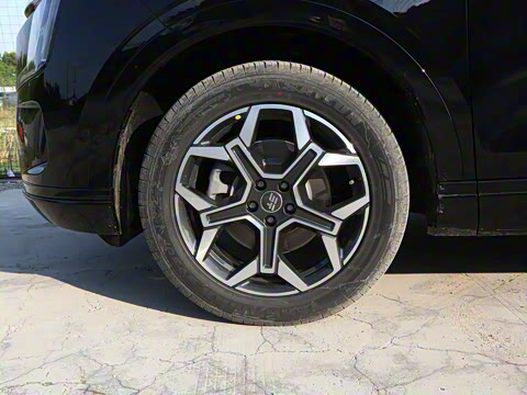 2026�� 121km ������ 5��