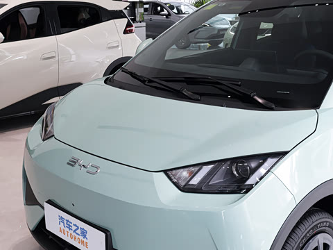 2026�� 305km ������