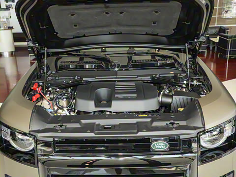 2025�� 110 3.0T P400 X