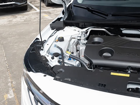 2026�� ������