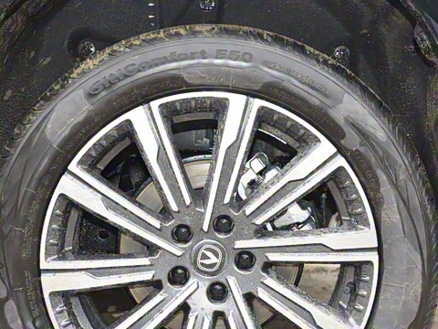 2026�� �ǻ۹ھ��� 1.5T ������ �Ǻ���