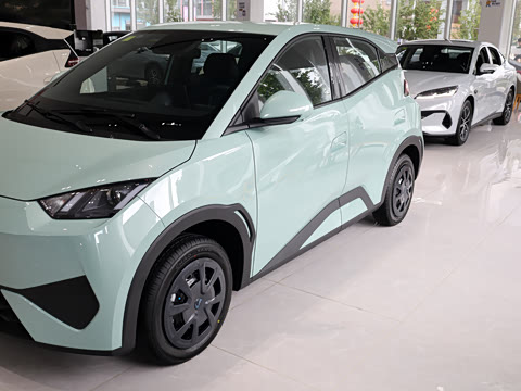 2026�� 305km ������