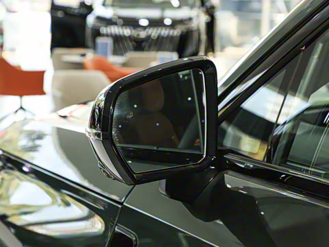 2025�� 205km Pro+�����״��