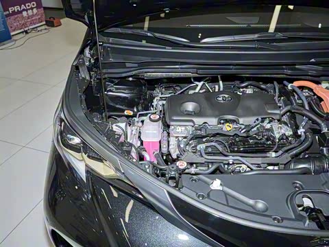 2026�� 2.5L�춯 ���PLUS������