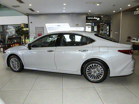 2026�� ˫�� 2.0HGVP ������