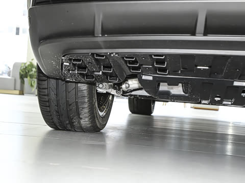 2025�� ����600�����˶���