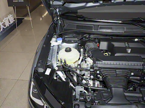 2025�� 2.0T �������Ű�