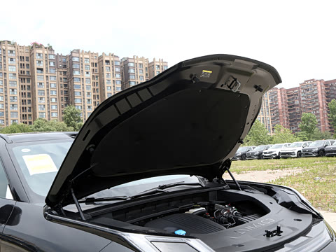 2026�� 230��������Max