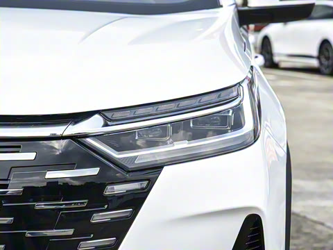 2025�� 290T ��������+