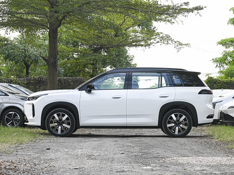 2026�� 650 ��׼��