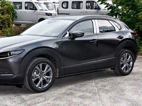 2025�� 2.0L �Զ�������