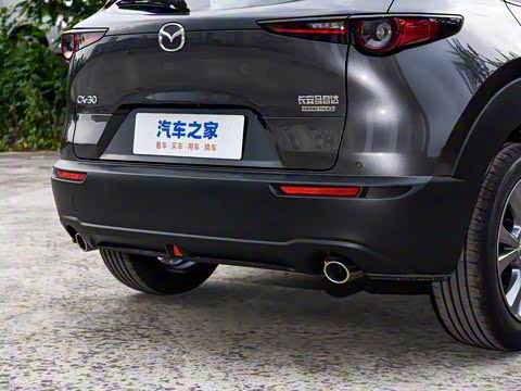 2025�� 2.0L �Զ�������