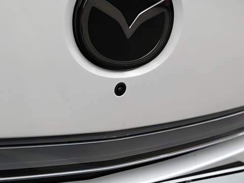 2025�� ����600 Max