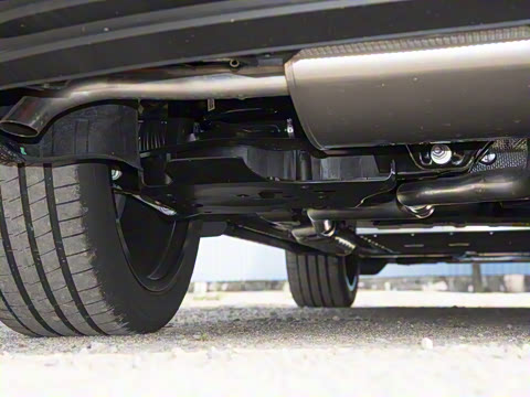 2026�� ������������Plus