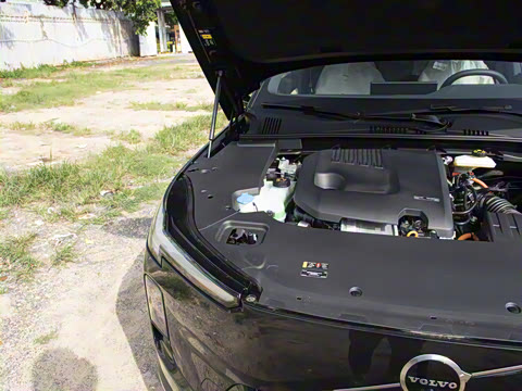 2026�� ������������Plus