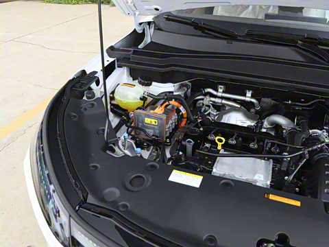 2025�� 112KM�����