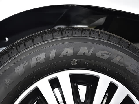 2025�� 2.0L CNG��Ӣ�� 9��