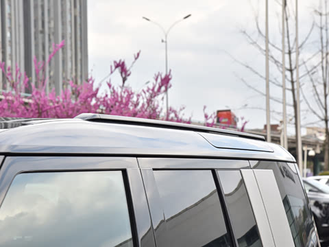 2026�� 110 3.0T P400 X