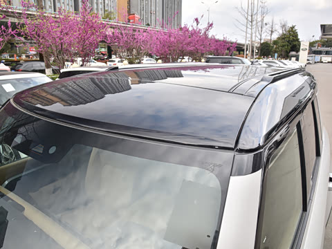 2026�� 110 3.0T P400 X