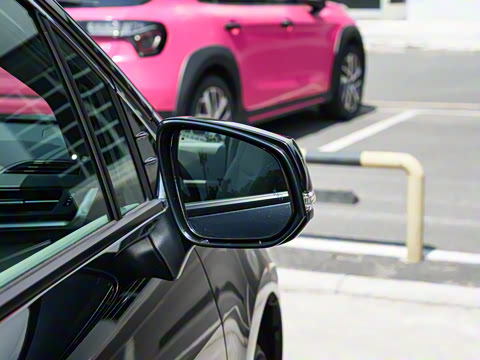 2026�� 2.5L ˫������������