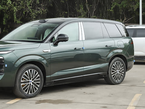 2025�� ������