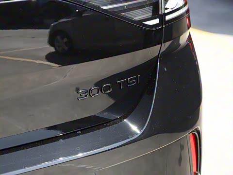 2026�� 300TSI DSG�����ǹ��