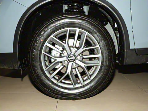 2025�� ���� 2.0L �������İ�