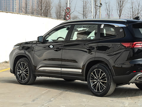 2026�� �ھ��� 290T ���������� 5��