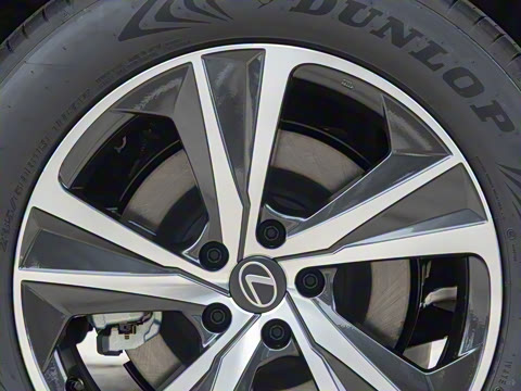 2026�� 300 ����������