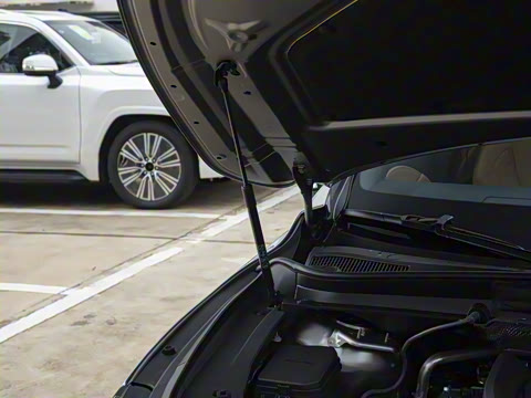 2026�� 300 ����������