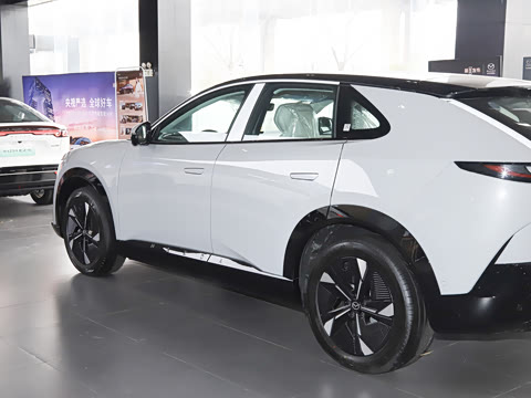 2026�� ����600 Pro