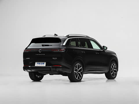 2026�� 450TSI �����콢
