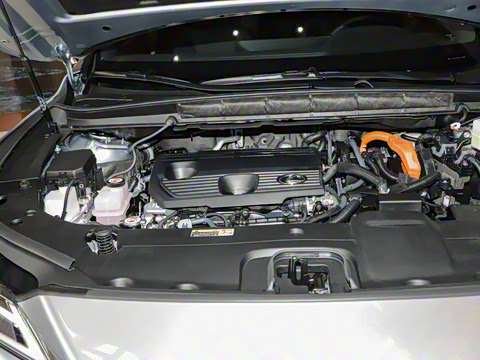 2025�� 350h ����������