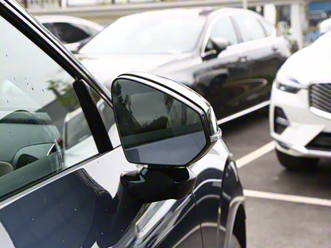 2026�� ������������Plus