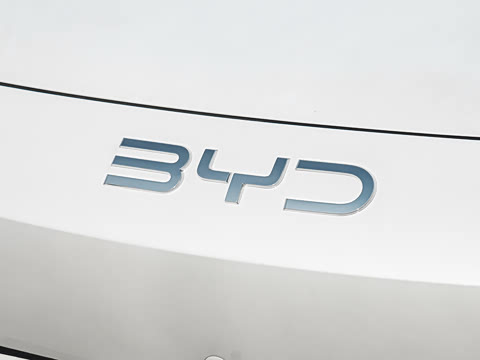 2026�� DM-i 310�콢��
