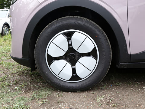 2026�� 310km ������