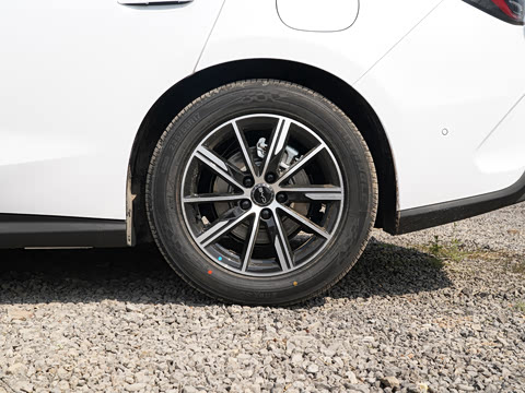 2026�� DM-i 200KM������