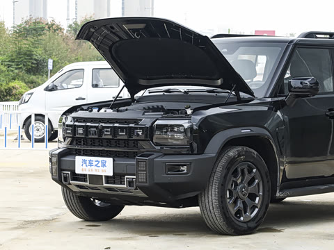 2026�� 2.0TD XWD ��Խ