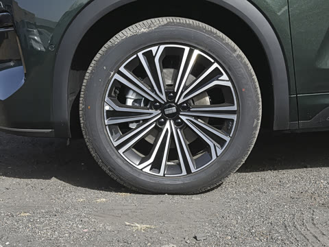 2026�� 135km �ǽ���