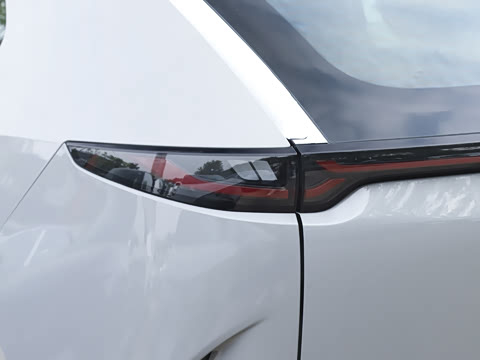 2025�� ����600 Pro